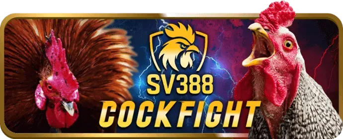 Quản lý tài khoản cá nhân SV88TV VIP